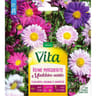 Vita Vilmorin reine marguerite simple mix