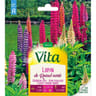 Vita Vilmorin lupin hybride de russel