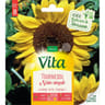 Vita Vilmorin tournesol nain simple