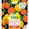 Vita Vilmorin rose inde cupidon mix