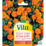 Vita Vilmorin oeillet inde double orange