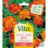 Vita Vilmorin oeillet inde bolero