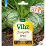 Vita Vilmorin courgette nice