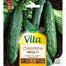 Vita Vilmorin concombre breso hf1