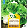 Vita Vilmorin chicoree scarole cornet anjou