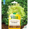 Vita Vilmorin chicoree frisee de meaux