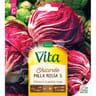 Vita Vilmorin chicoree palla rossa 5