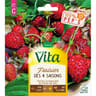 Vita Vilmorin fraisier 4 saisons