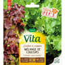 Vita Vilmorin laitue a couper melange de couleurs