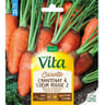 Vita Vilmorin carotte chantenay 2