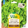 Vita Vilmorin laitue feuille chene blonde à graine noire
