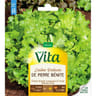 Vita Vilmorin laitue batavia pierre benite