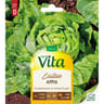 Vita Vilmorin laitue appia