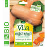 Vita vilmorin courge butternut bio
