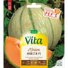 Vita Vilmorin melon anasta