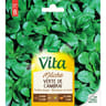 Vita Vilmorin mache verte de cambrai