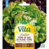 Vita Vilmorin laitue reine mai