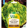 Vita Vilmorin laitue grosse blonde paresseuse