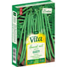 Vita Vilmorin haricot gusty