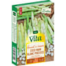 Vita Vilmorin haricot coco nain blanc