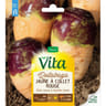 Vita Vilmorin rutabaga collet rouge
