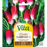 Vita Vilmorin radis flamboyant 5