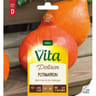 Vita Vilmorin potiron uchiki kuri