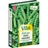 Vita Vilmorin pois douce provence