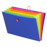 Trieur extensible happy fluo