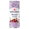 San pellegrino momenti eau gazeuse aromatisée grenade cassis 33cl
