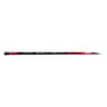 Canne dudule emmanchement 6m