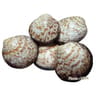 Amandes de mer