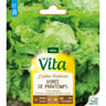 Vita Vilmorin laitue dorée de printemps