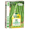 Vita Vilmorin fève super aguadulce lg cosse bio