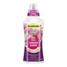 Algoflash engrais fleurs longue durée 60 jours 750 ml