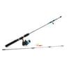Pack easy fish 2 sections verre plein zack