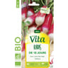 Vita Vilmorin radis de 18 jours bio