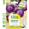 Vita Vilmorin aubergine violette de Florence bio