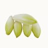 Endives le sachet de 1kg