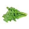 Pissenlit vert