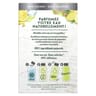 Elephant infusion à froid boost gingembre citron x15 34g