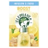 Elephant infusion à froid boost gingembre citron x15 34g