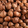 Juste bio noisettes décortiquées bio