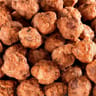 Juste bio noisettes caramélisées bio