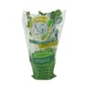 Persil plat pot bio