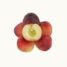 Nectarine blanche bio