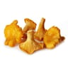 Girolles