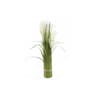 Bouquet 3 pampas 61cm