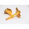 Chanterelle jaune