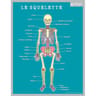Fiche memo corps humain (20.5x26.5cm)